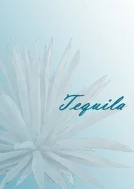 Tequila小说更新 当年.年二爷全本免费在线阅读