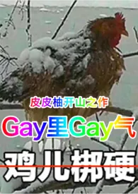 gay里gay气小说 2024更新版 免费在线阅读