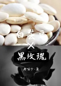 《白芸豆×黑玫瑰》全集在线阅读 老喵子精心打造