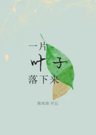 《一片叶子落下来》2024最新章节列表 慕南音力作