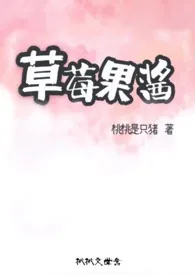 全本《韩娱之草莓果酱》小说免费阅读 桃桃佳作