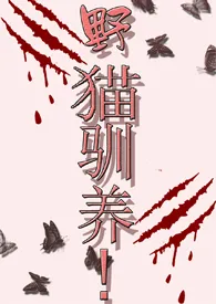 魏承泽新作《野猫驯养！（高H！1V1）》小说连载 2024最新版