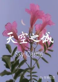 《天空之城｜Sky Castle （*N）》免费阅读 年糕巨巨创作 2024更新