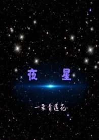 一朵青莲花作品《夜星》全本阅读 免费畅享