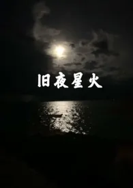 全本《旧夜星火》小说免费阅读 黄金矿工双人版佳作