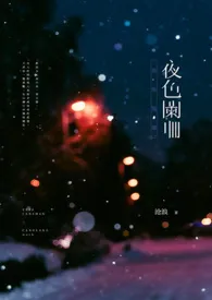 全本《夜色阑珊》小说免费阅读 沧浪佳作