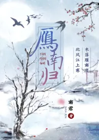 全本《雁南归》小说免费阅读 南君佳作