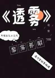 《透雾》2024最新章节列表 司穷力作