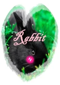 Rabbit小说更新 面具全本免费在线阅读