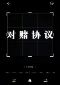 《对赌协议（NP）》免费阅读 Richeese创作 2024更新