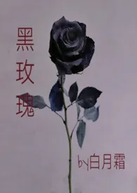 白月霜作品《黑玫瑰》全本阅读 免费畅享