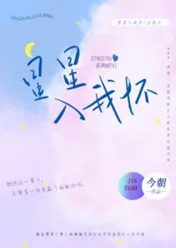 《星星入我怀（出轨h）》免费阅读 今朝创作 2024更新