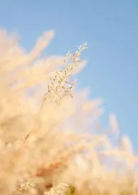 《老爸操儿媳》全集在线阅读 眉雪精心打造