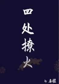 《四处撩火【1v1】》2024版小说在线阅读 完整版章节