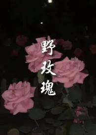 《野玫瑰》全集在线阅读 艾柏精心打造