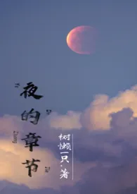 《夜的章节（双师生，兄妹，高H）》大结局曝光 我拖拖拖著 2024完结