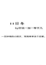 你说一加一等于几作品《11日冬》全本阅读 免费畅享