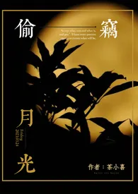 全本《偷窃月光（百合ABO）》小说免费阅读 茶小喜佳作