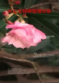 长公主班师回朝以后（女宠男）小说更新 炳明全本免费在线阅读