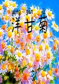 《洋甘菊》2024版小说在线阅读 完整版章节