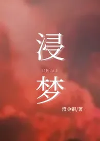 《浸梦（兄妹1V1H）》全集在线阅读 澄金银精心打造