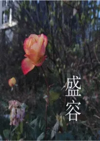 《盛容（男强女更强）》全集在线阅读 炳明精心打造