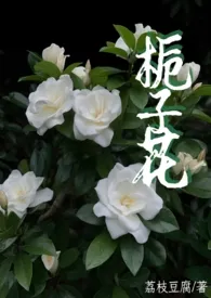 栀子花 (父女1v1）小说更新 荔枝豆腐心全本免费在线阅读