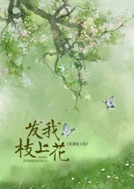 全本《发我枝上花》小说免费阅读 万山雪佳作