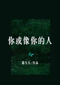 猫九九作品《你或像你的人（1v1H）》全本阅读 免费畅享