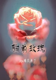 《胸前玫瑰（老文纯百合gl）》免费阅读 精灵来了创作 2024更新