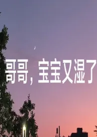 《哥哥，宝宝又湿了》全集在线阅读 望月舒精心打造