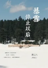 《暴雪停止以后》大结局曝光 渡己人著 2024完结