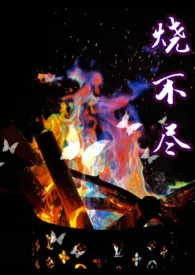 《烧不尽（1v1）》2024最新章节列表 utopia力作